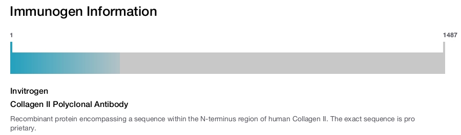 Collagen II Polyclonal Antibody