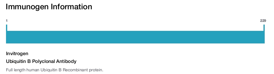 Ubiquitin B Polyclonal Antibody