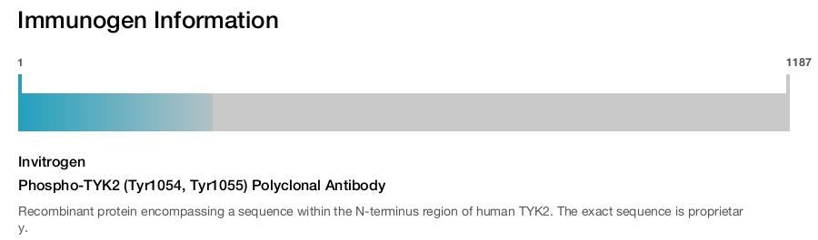 Phospho-TYK2 (Tyr1054, Tyr1055) Polyclonal Antibody