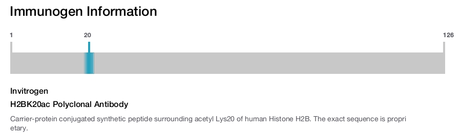 H2BK20ac Polyclonal Antibody