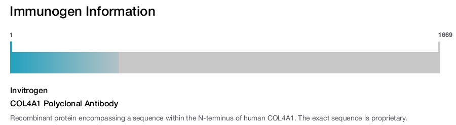 COL4A1 Polyclonal Antibody