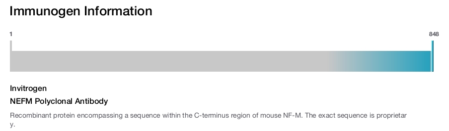 NEFM Polyclonal Antibody