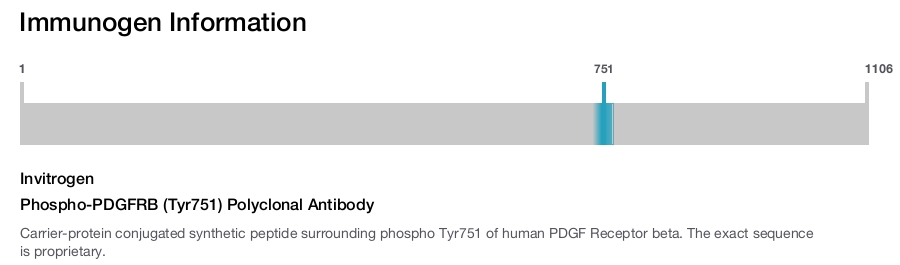 Phospho-PDGFRB (Tyr751) Polyclonal Antibody