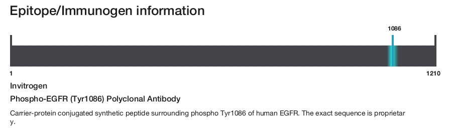 Phospho-EGFR (Tyr1086) Polyclonal Antibody
