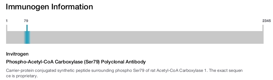 Phospho-Acetyl-CoA Carboxylase (Ser79) Polyclonal Antibody