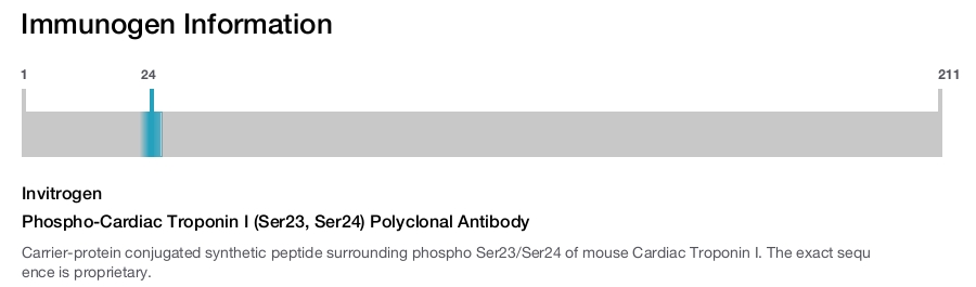 Phospho-Cardiac Troponin I (Ser23, Ser24) Polyclonal Antibody