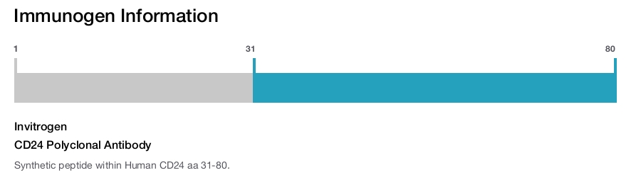 CD24 Polyclonal Antibody