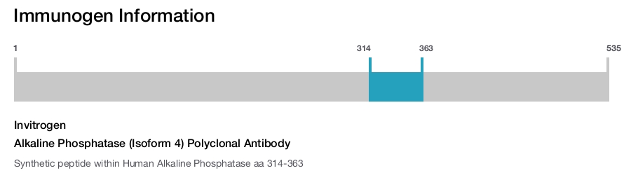Alkaline Phosphatase (Isoform 4) Polyclonal Antibody