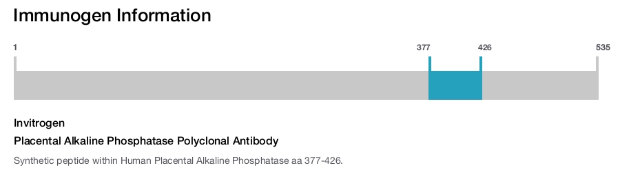 Placental Alkaline Phosphatase Polyclonal Antibody