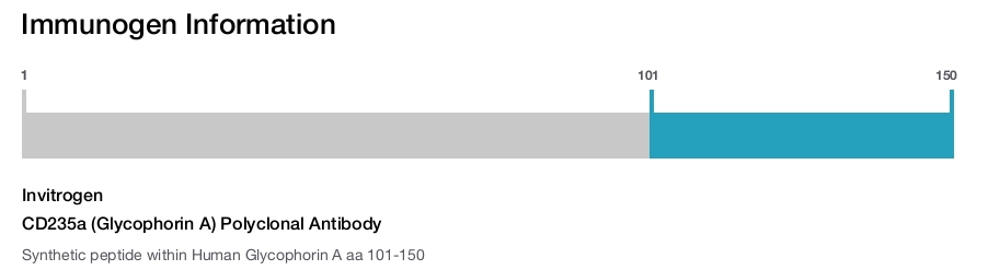 CD235a (Glycophorin A) Polyclonal Antibody