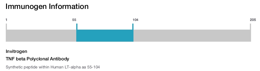 TNF beta Polyclonal Antibody