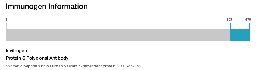 Protein S Polyclonal Antibody