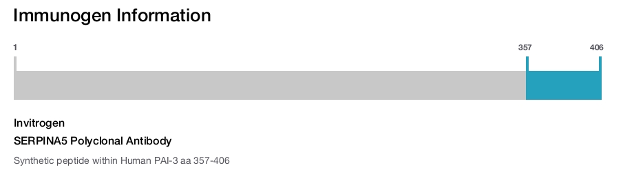 SERPINA5 Polyclonal Antibody