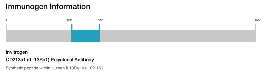 CD213a1 (IL-13Ra1) Polyclonal Antibody