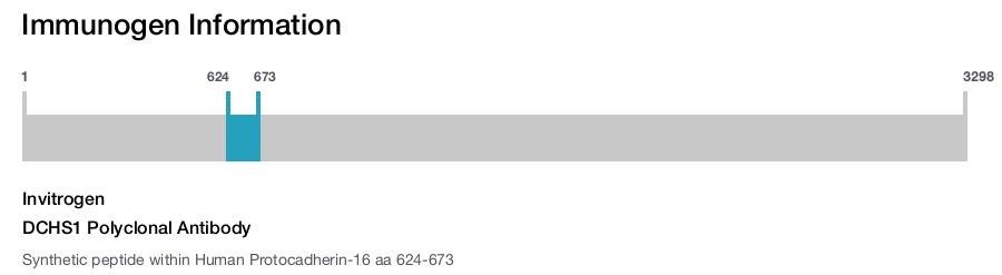 DCHS1 Polyclonal Antibody
