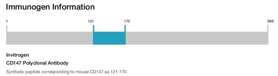 CD147 Polyclonal Antibody