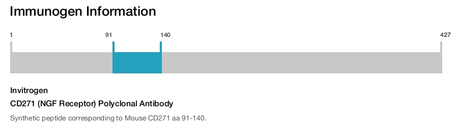 CD271 (NGF Receptor) Polyclonal Antibody