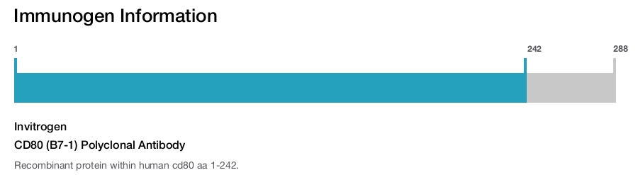 CD80 (B7-1) Polyclonal Antibody