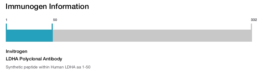 LDHA Polyclonal Antibody