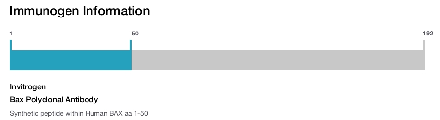 Bax Polyclonal Antibody