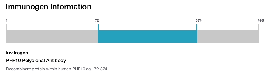 PHF10 Polyclonal Antibody