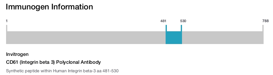 CD61 (Integrin beta 3) Polyclonal Antibody