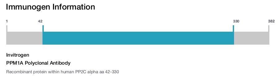 PPM1A Polyclonal Antibody