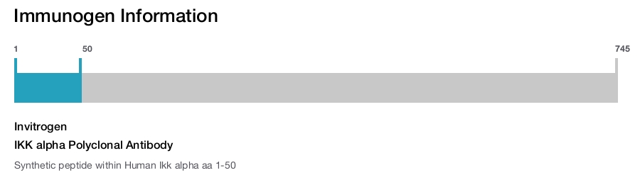 IKK alpha Polyclonal Antibody