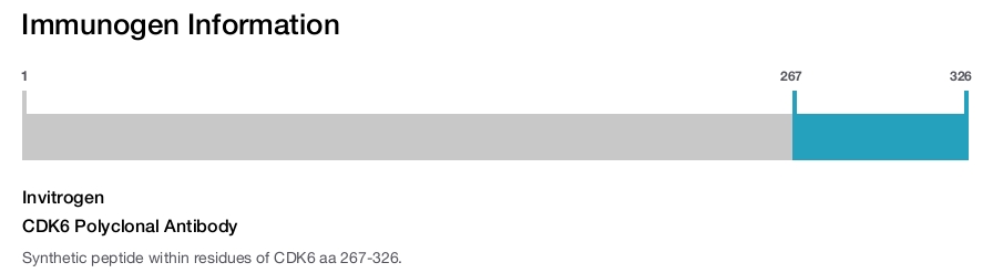 CDK6 Polyclonal Antibody