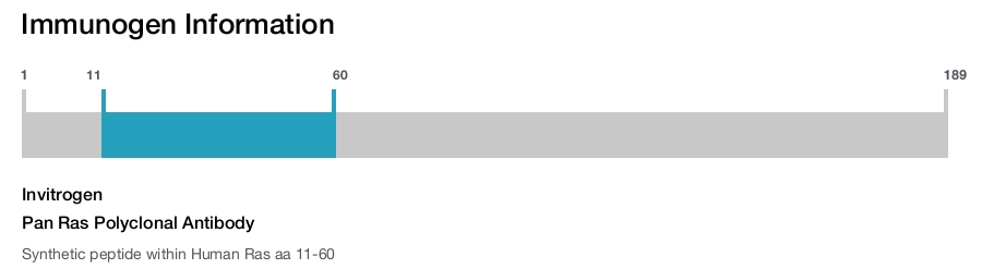 Pan Ras Polyclonal Antibody