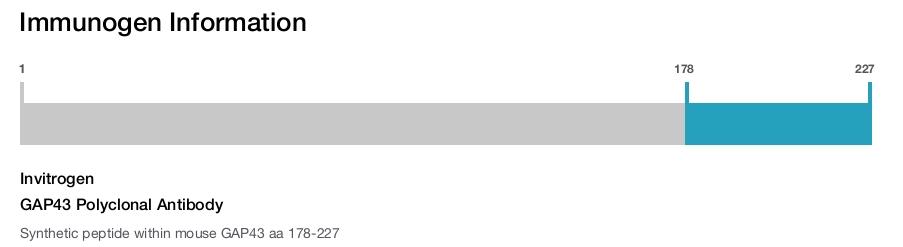 GAP43 Polyclonal Antibody