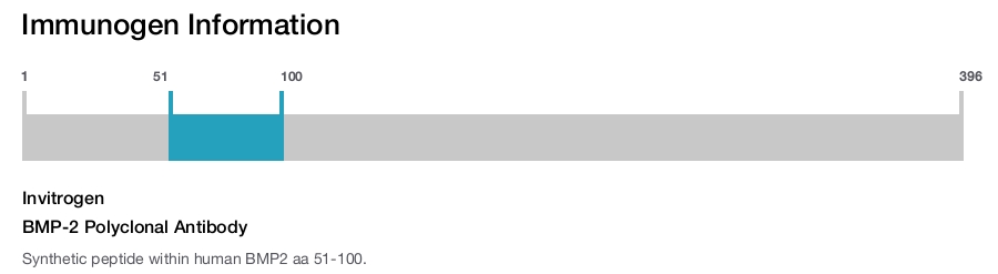 BMP-2 Polyclonal Antibody