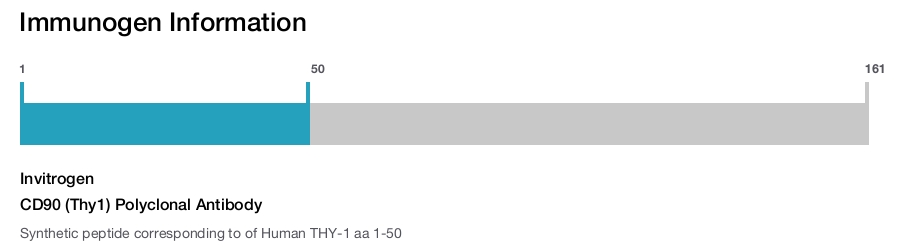 CD90 (Thy1) Polyclonal Antibody