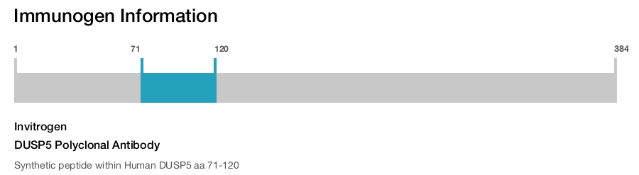 DUSP5 Polyclonal Antibody