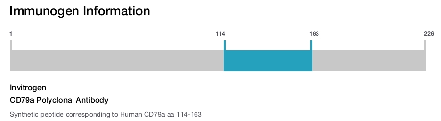 CD79a Polyclonal Antibody