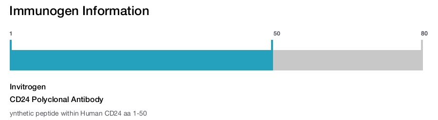 CD24 Polyclonal Antibody