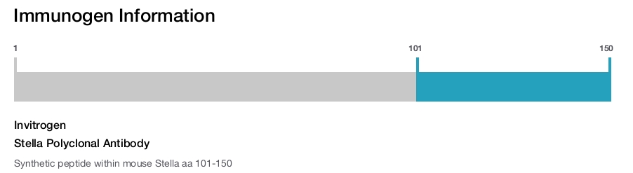 Stella Polyclonal Antibody