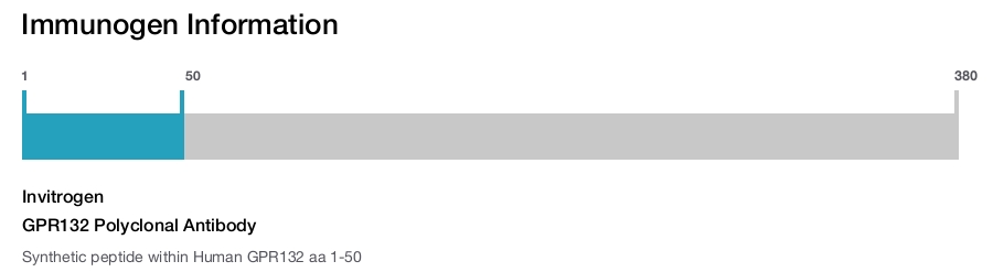 GPR132 Polyclonal Antibody