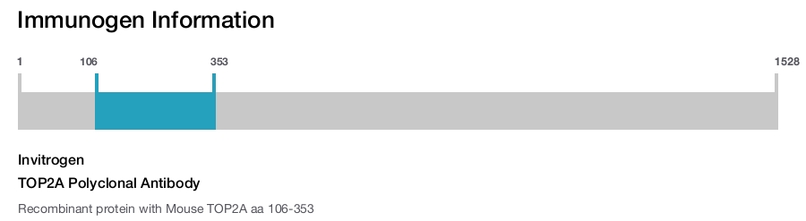TOP2A Polyclonal Antibody