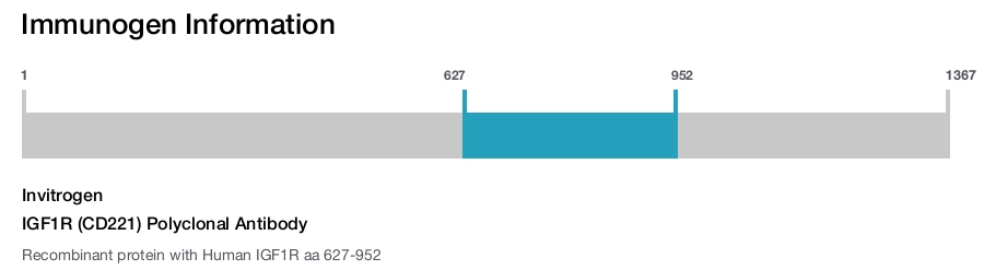 IGF1R (CD221) Polyclonal Antibody
