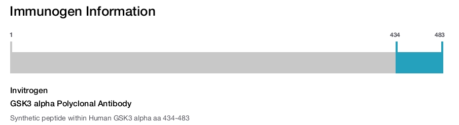 GSK3 alpha Polyclonal Antibody