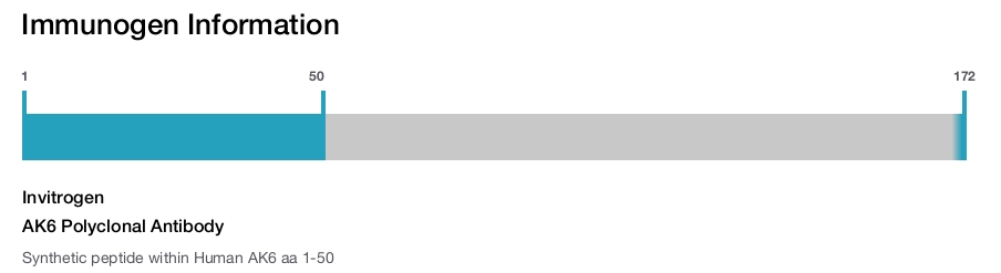 AK6 Polyclonal Antibody