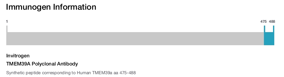 TMEM39A Polyclonal Antibody