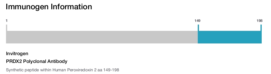 PRDX2 Polyclonal Antibody