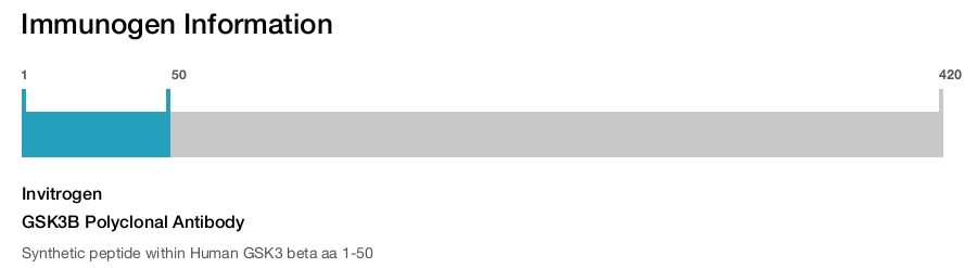 GSK3B Polyclonal Antibody