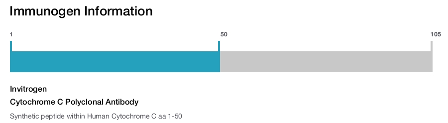Cytochrome C Polyclonal Antibody