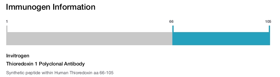 Thioredoxin 1 Polyclonal Antibody