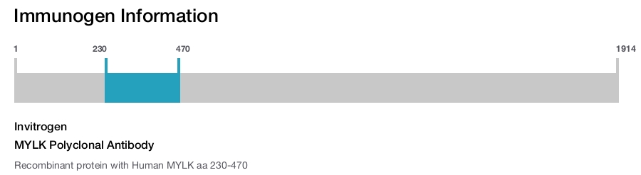 MYLK Polyclonal Antibody