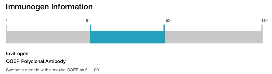 OOEP Polyclonal Antibody