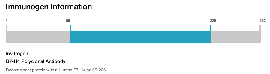 B7-H4 Polyclonal Antibody